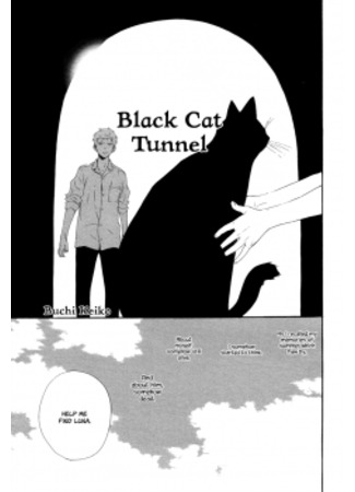 Black 2024 cat tunnel