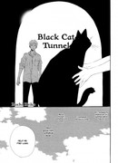 Тоннель чёрной кошки