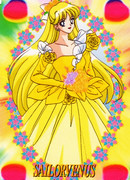 Кодовое имя - Сейлор Ви