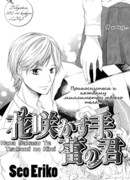 Распускающиеся цветы