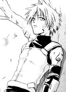 Среди цветов