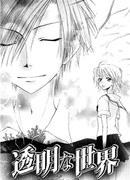 Прозрачный мир