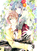 Дитя канарейки