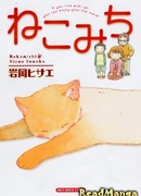 Кошачьей дорогой