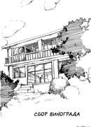 Сбор винограда