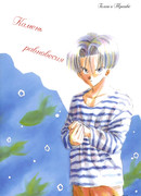 Камень равновесия