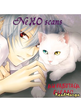 Переводчик Neko Scans 15.11.12