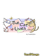 Кошачьи будни