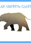 Как обнять слона