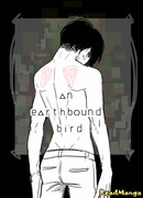 Птица, которой не суждено летать