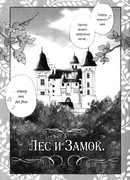 Лес и замок