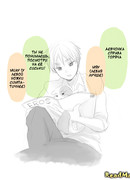 Кошачья ссора