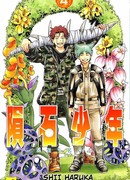 Метеодо: Поколение Метеорита