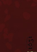 Tiger & Bunny dj - 1031