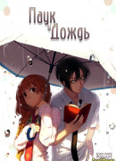 Паук и Дождь