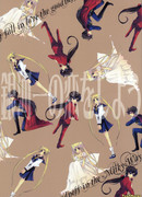 Sailor Moon dj - Let's Fall in Love in the Milky Way