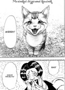 Миленький бездомный котенок