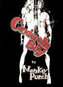 Парень-Золушка