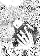 Sakanai Sakura (Yokoyama Mayumi)