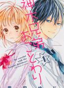 Ошибка братьев Камики