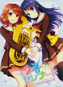 Лёгкая ночная серенада