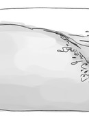 Аомине Дайки