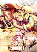 Болеющий кот