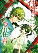 Храм, лес и бездомный Кот