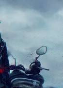 Красный Король