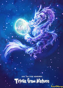 Несколько слов о природе