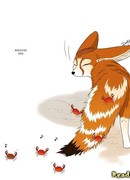 Фенек по имени Воротничок