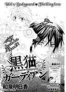 Чёрный кот - хранитель