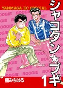 Шакотан Буги