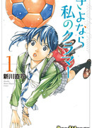 Прощай, дорогой футбол