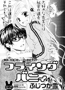 Летящая зайка