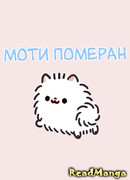 Моти Померан