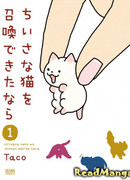 Если бы я мог призвать маленького кота