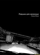 Ловушка для насекомых