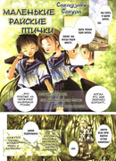 Маленькие райские птички