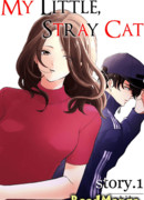 Мой маленький бездомный кот