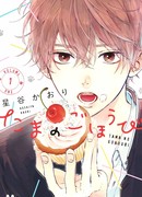 Мой проводник