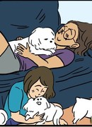 Без приключений