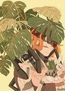 Обращённые к солнцу