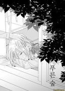 Зеленый лес