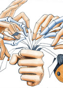 Игра в прятки на Санни