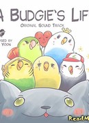 Жизнь волнистого попугайчика!