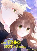 Моя лягушка — не принц