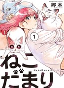 Кошачья игрушка