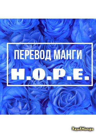 Переводчик H. O. P. E. 24.05.20