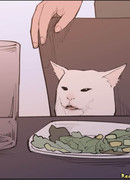 Озадаченный кот за столом